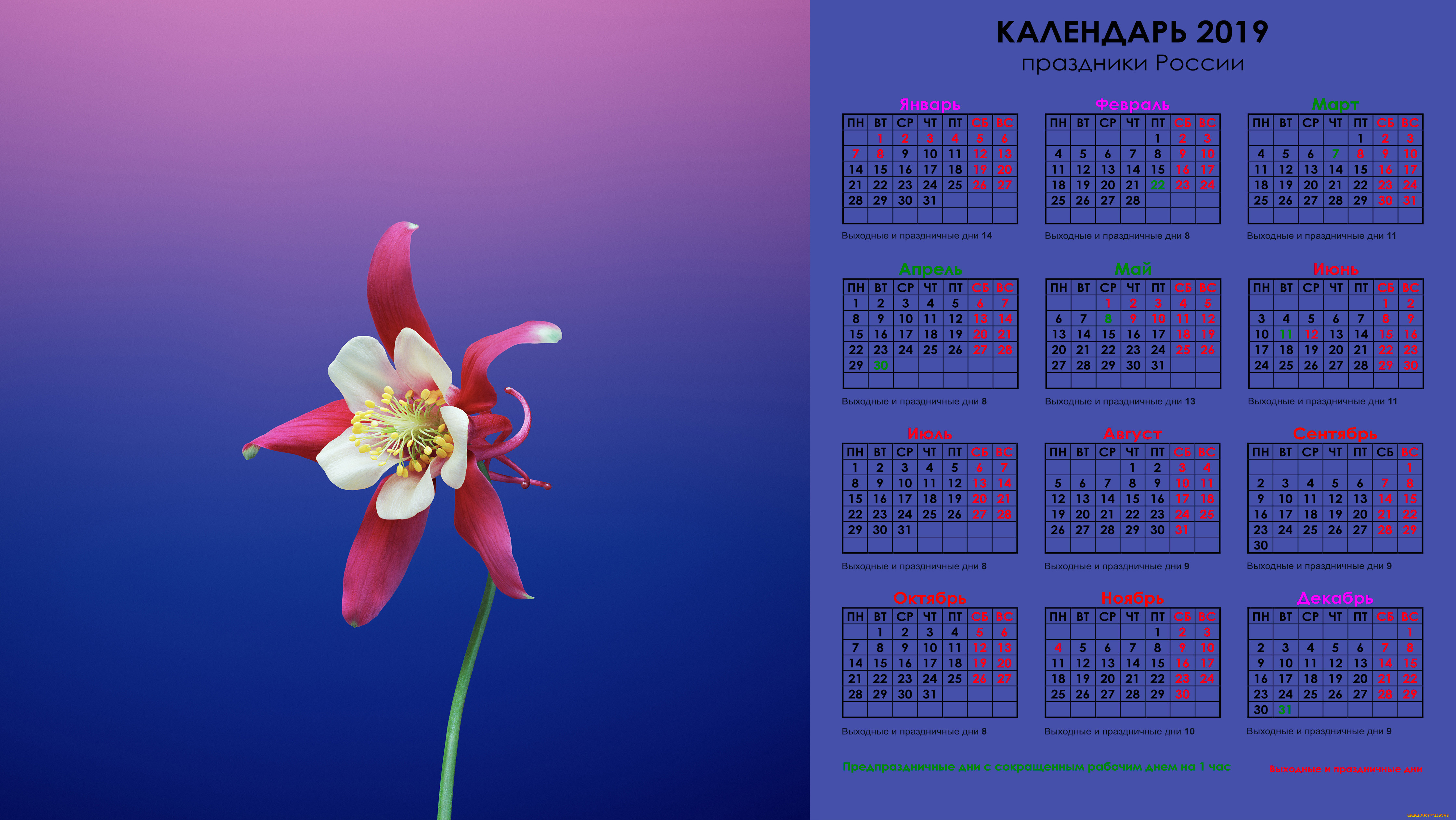 Календарь на телефон с праздниками. Календарь на рабочий стол. Календарь цветы. Красивый календарь. Обои на рабочий стол календарь.